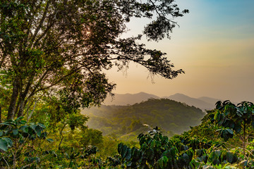 sunrise in the jungle mountains