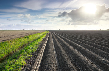 Fototapeta na wymiar sunshine in Dutch farmland over plowed field