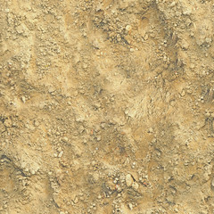 The soil under the feet is Golden with textured surface.Texture or background.