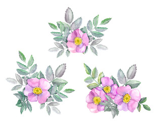 Watercolor compositions with wild rose. Pink flowers and leaves isolated on white background