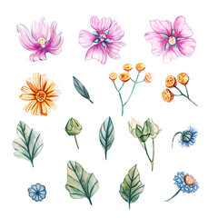 Set of watercolor wildflowers and leaves.