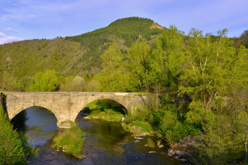Fototapeta na wymiar Le pont du Tarn à Florac-Trois-Rivières (48400), département de la Lozère en région Occitanie, France