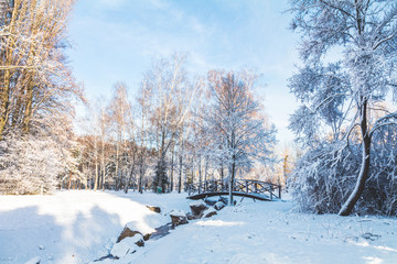 Obraz premium Winter landscape of frosty trees and blue sky