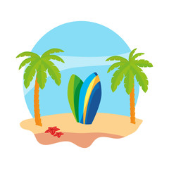 summer beach with palms and surfboards scene