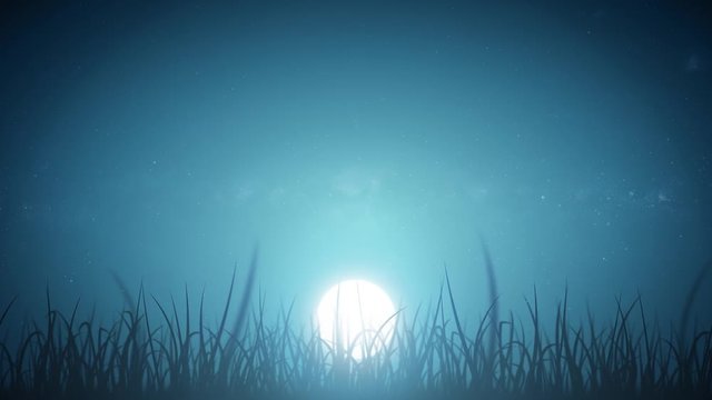Grass Leaves On Beautiful Night Sky Loop/ 4k animation of a loopable beautiful nature background with blades of grass moving with the wind on night sky with moon and stars