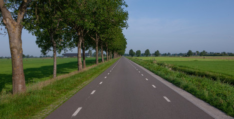 Fototapeta na wymiar Dutch road in polder. Netherlands.