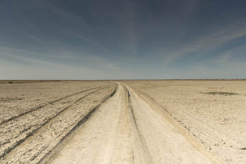 Fototapeta na wymiar Consequences of Aral sea catastrophe. Sandy salt desert on the place of former bottom of Aral sea.