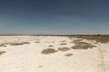 Consequences of Aral sea catastrophe. Sandy salt desert on the place of former bottom of Aral sea.