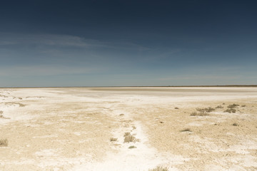 Fototapeta na wymiar Consequences of Aral sea catastrophe. Sandy salt desert on the place of former bottom of Aral sea.