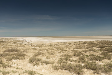 Consequences of the Aral sea disaster.Steppe and sand on the site of the former bottom of the Aral sea.Kazakhstan