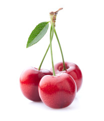 Sweet cherry in closeup