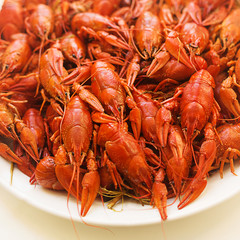 boiled crayfish on a plate square background