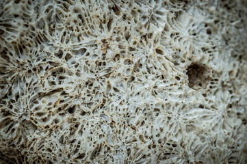 Stone pattern on Koh Samet