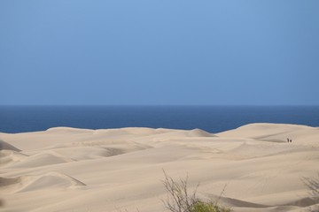 Dünen von Maspalomas