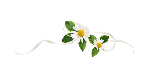 Daisy flowers and silk ribbon in a line floral arrangement