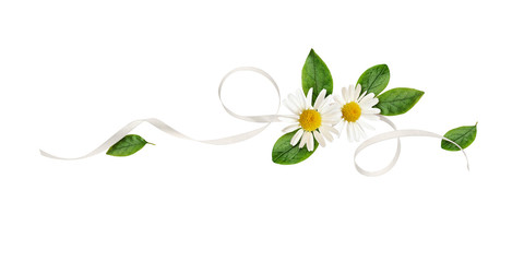 Daisy flowers and silk ribbon in a line floral arrangement