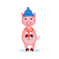 Cartoon cute pink pig in blue hat with gift isolated on, colorful vector illustration farmer domestic animal, Character design for greeting card, children invite, creation of alphabet, baby shower