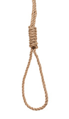 hangman's noose from thick jute rope isolated