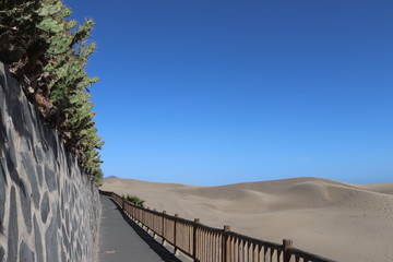 D&uuml;nen von Maspalomas