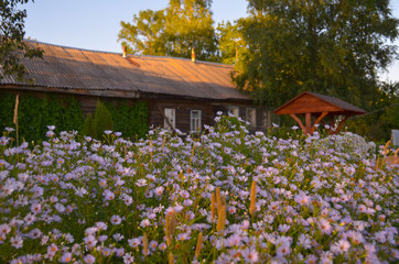 Wooden house with carved windows in Vologda Russia . Russian style in architecture. Rustic russian house with garden