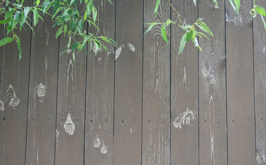 фон,текстура здания