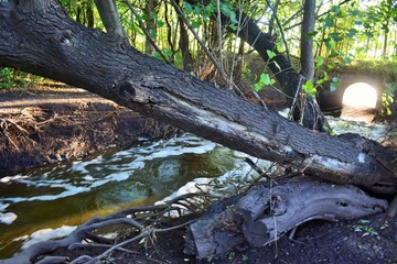Corriente de agua