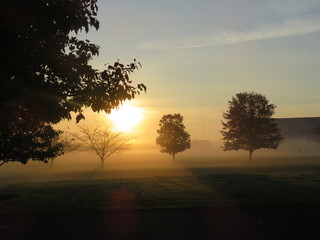 Fototapeta premium Sunrise Over Fog and Trees