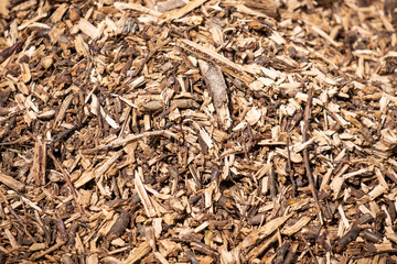 Abstract background made of wooden grafts