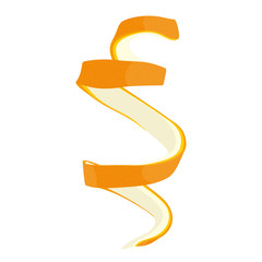 Orange peel. Citrus fruit. Isolated on white background. Vector illustration.