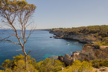 Rocky coast on Majorca Spain Mediterranean Sea.