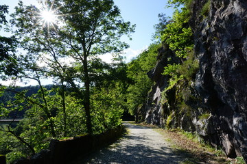 Fototapeta na wymiar Klettergebiet im Schwarzwald