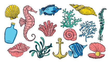 Sea shell, seaweed, anchor, seahorse, and fish. Hand drawn underwater colorful creatures. © olechkaart