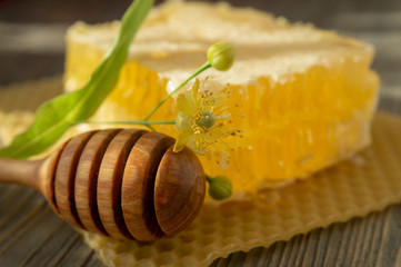 Block of comb honey with linden flower and utensil