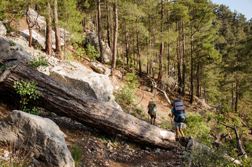 Fototapeta premium Two travellers with backpacks hiking in woods