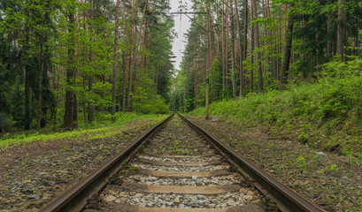 Obraz premium Old electric railway track between Tabor town and Bechyne spa town