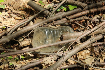 Plastic bottle in nature.
