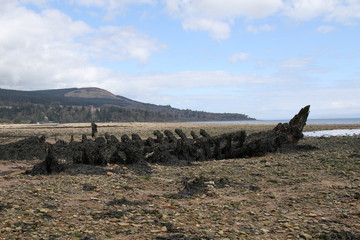 Shipwreck on the beach near Brodick, Isle of Arran, Sotland, United Kingdom