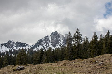 Fototapeta premium Panorama of an alpine landscape with high mountains, green meadows and trees in spring with snow in Austrian Alps