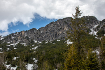 Obraz premium Panorama of an alpine landscape with high mountains, green meadows and trees in spring with snow in Austrian Alps