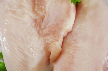 texture of chicken meat, chicken fillet close up