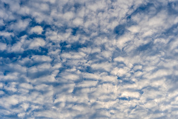 White clouds over blue sky. Background sky with clouds.