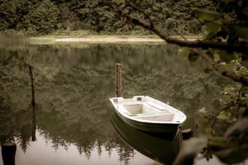 a chained rowing boat floats on a lake