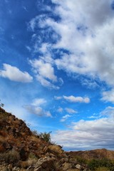 MEASURE OF THE MINERALS - JOSHUA TREE NP - 052319, soil ecosystems have been supporting native plant communities by providing nutrients and filtering contaminants since time immemorial