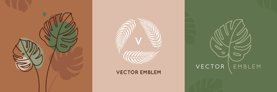Vector abstract logo design templates in trendy linear minimal style - monstera leaf - abstract symbol for cosmetics and packaging, jewellery, hand crafted  or beauty products 