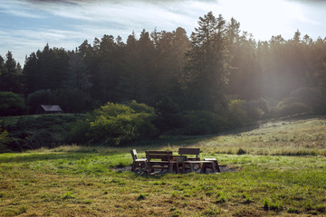 Outdoor fire pit and benches in the forest of northern california