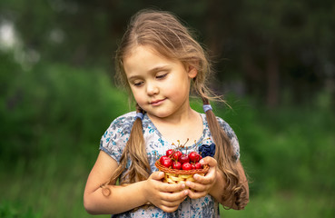 little girl holding a basket of cherries on nature in summer