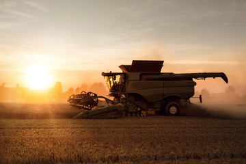 Mähdrescher arbeitet auf dem Feld bei Sonnenuntergang