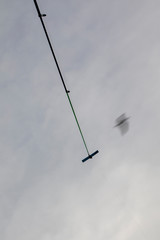 Seagull and Fisherman