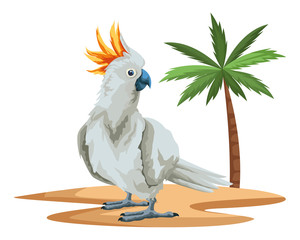 parrot wild cockatoo icon cartoon © Jemastock