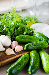 Preparation marinated conservation cucumbers with herbs, garlic, salt, and spice.